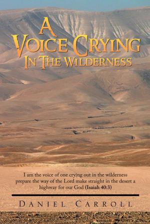 Cover of the book A Voice Crying in the Wilderness by Todd Patterson
