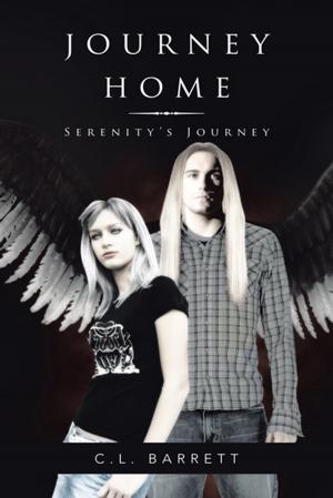 Cover of the book Journey Home by Susanne Bacon