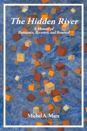 Cover of the book The Hidden River by James Langston