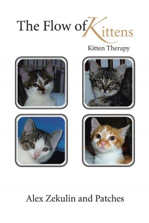 Cover of the book The Flow of Kittens by Louis Hernandez Jr.