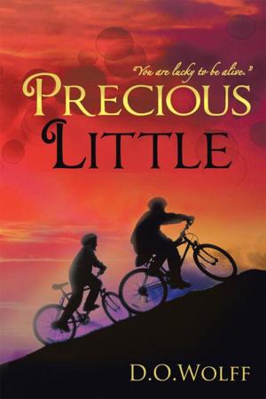 Cover of the book Precious Little by Lovia Joann Pitts
