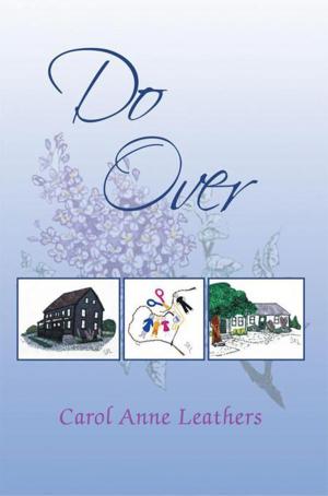 Cover of the book Do Over by Robert E. Denton