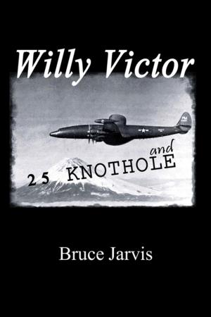 Cover of the book Willy Victor and 25 Knot Hole by Wilbur Cross