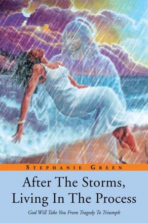 Cover of the book After the Storms, Living in the Process by Demetrice Tolbert