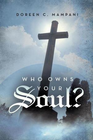 bigCover of the book Who Owns Your Soul? by 