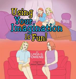 Cover of the book Using Your Imagination by Sir Grinsalot