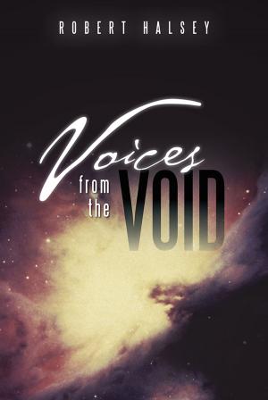 Cover of the book Voices from the Void by Ian Trafford Walker