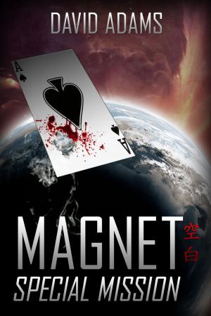 Cover of Magnet: Special Mission