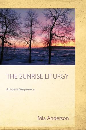 Cover of the book The Sunrise Liturgy by Bernadette McNary-Zak