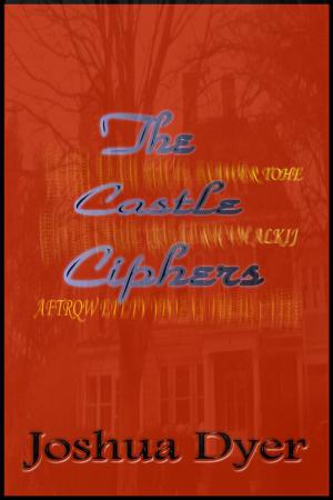 Cover of the book The Castle Ciphers by Doug Brunell