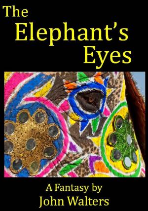 Book cover of The Elephant's Eyes: A Fantasy