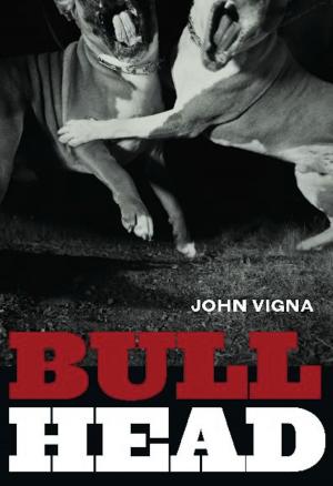 Cover of the book Bull Head by Ivan Coyote