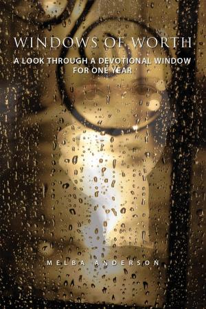 Cover of the book Windows of Worth by Francine Bouma