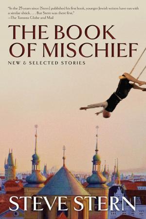 Cover of the book The Book of Mischief by Deborah Baker