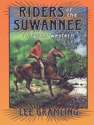 Cover of the book Riders of the Suwannee by David Lapham