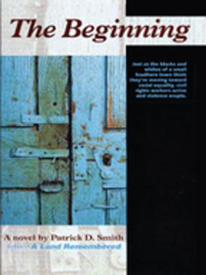 Cover of the book The Beginning by Heather Jarman