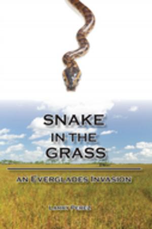 Cover of the book Snake in the Grass by Murray D. Laurie, Doris Bardon