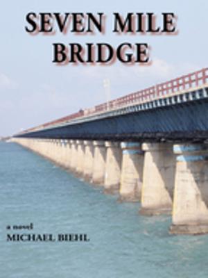 Cover of the book Seven Mile Bridge by David Lapham