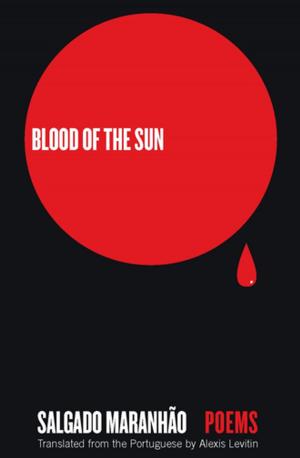 Cover of the book Blood of the Sun by Bapsi Sidhwa