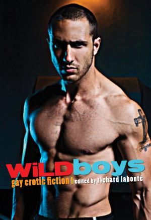 Cover of the book Wild Boys by Christopher Pierce