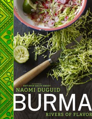 Cover of the book Burma by Michelle Slatalla