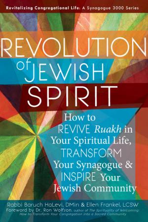 Cover of the book Revolution of Jewish Spirit by Rabbi Burton L. Visotzky