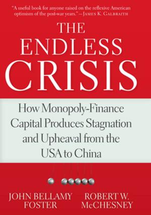 Cover of the book The Endless Crisis by Jim Cullen