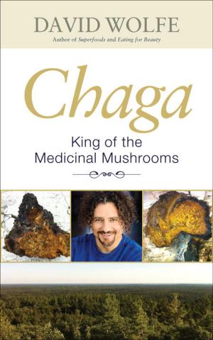 Book cover of Chaga