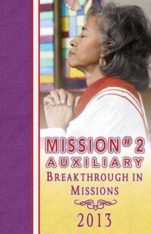 Book cover of 2013 Mission #2 Auxiliary Mission Guide