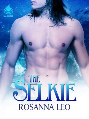 bigCover of the book The Selkie by 