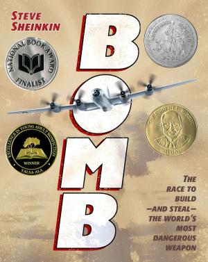 Cover of the book Bomb by Betty Hicks