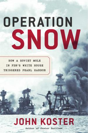 Cover of the book Operation Snow by Don Brown