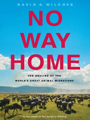 Cover of the book No Way Home by Shimon C. Anisfeld