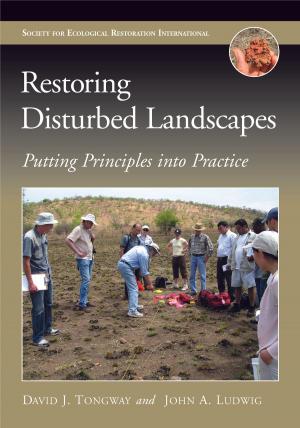 Cover of the book Sustainability Indicators by Rajaram Krishnan