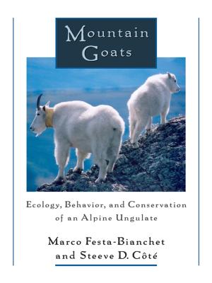 Cover of the book Mountain Goats by Bruce Babbitt