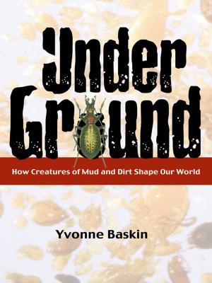 Cover of the book Under Ground by Lucy Moore