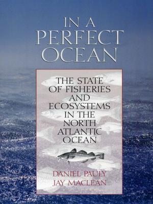 Book cover of In a Perfect Ocean