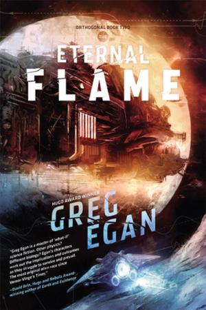 Book cover of The Eternal Flame
