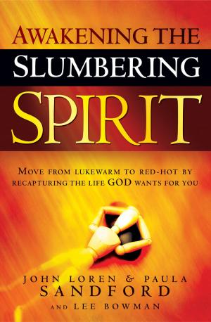 Book cover of Awakening The Slumbering Spirit