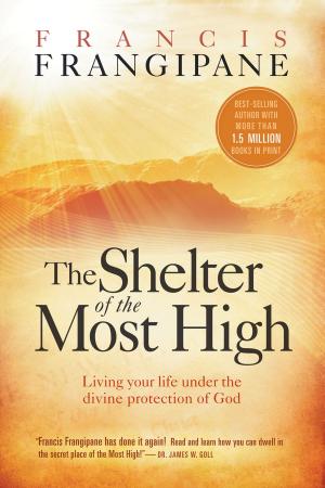 Cover of the book The Shelter of the Most High by Todd Hudson