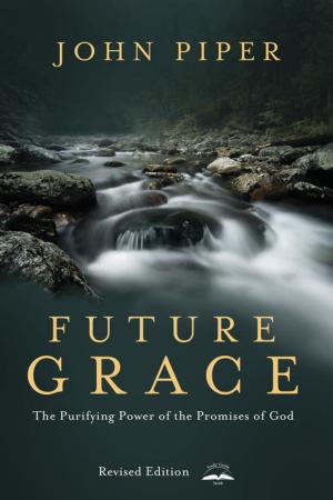 bigCover of the book Future Grace, Revised Edition by 