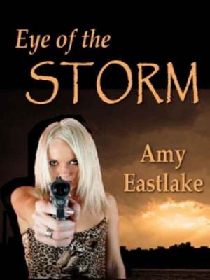 Cover of the book Eye of the Storm by Rob Preece