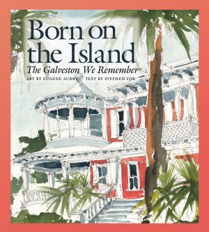 Cover of the book Born on the Island by Margie Crisp