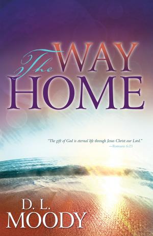 Cover of the book The Way Home by Wilkin Van De Kamp