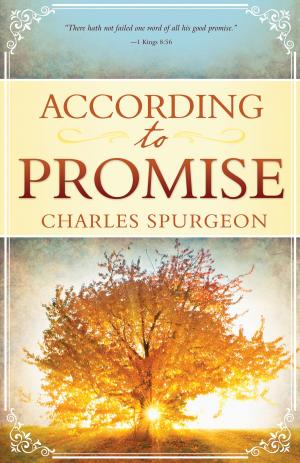 Cover of the book According to Promise by Shirley Mitchell