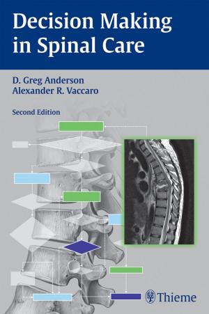 Cover of the book Decision Making in Spinal Care by Timo Krings, Sasikhan Geibprasert, Karel ter Brugge