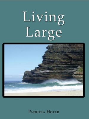 Cover of the book Living Large by Patricia Hofer