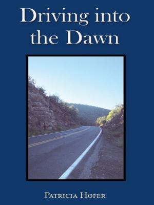 Book cover of Driving into the Dawn