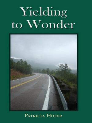 Book cover of Yielding to Wonder