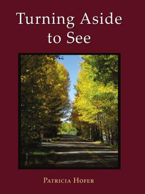 Cover of the book Turning Aside to See by Anthony Tresselt
